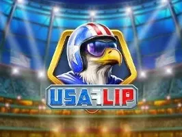 USA Flip